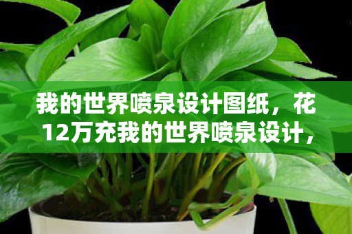 花12万充我的世界喷泉设计图片