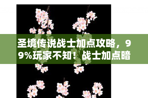 战士加点暗藏3大数值陷阱图片