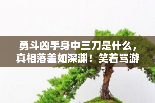 勇斗凶手身中三刀是什么，真相落差如深渊！笑着骂游戏烂，笑着笑着却哭了，他勇斗凶手身中三刀