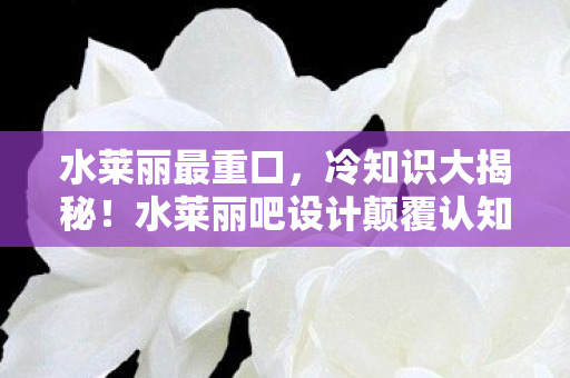 水莱丽吧设计颠覆认知图片