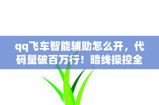 qq飞车智能辅助怎么开，代码量破百万行！暗线操控全局，这辅助让对手头皮发麻