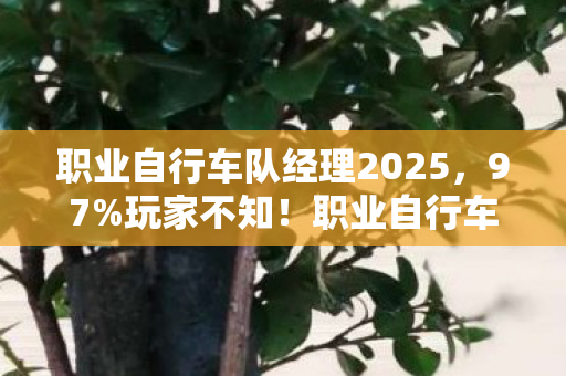职业自行车队经理2013多端实测图片