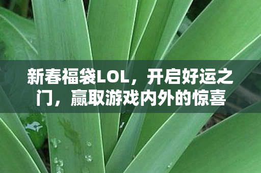 新春福袋LOL,开启好运之门,赢取游戏内外的惊喜 新春福袋LOL,开启好运之门,赢取游戏内外的惊喜