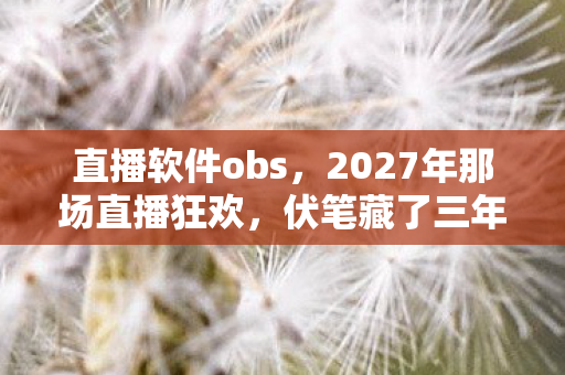 2027年那场直播狂欢图片