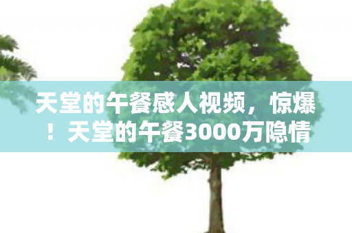 天堂的午餐3000万隐情曝光图片