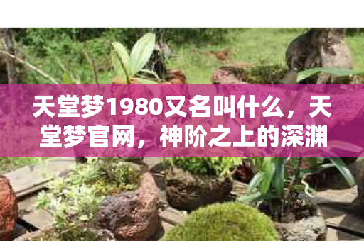 当自由意志撞碎命运齿轮的震颤图片