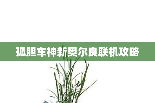 孤胆车神新奥尔良联机攻略