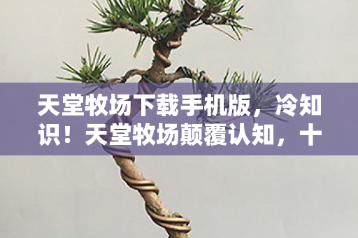 十年玩家竟被这游戏目瞪口呆了图片