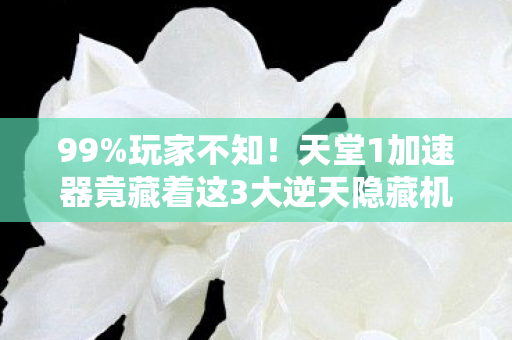 天堂1加速器竟藏着这3大逆天隐藏机制图片
