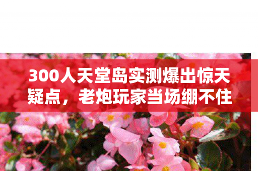 300人天堂岛实测爆出惊天疑点图片