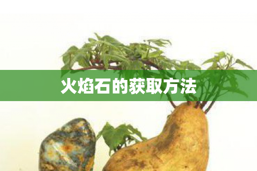 火焰石的获取方法 火焰石的获取方法