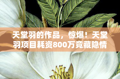 天堂羽项目耗资800万竟藏隐情图片