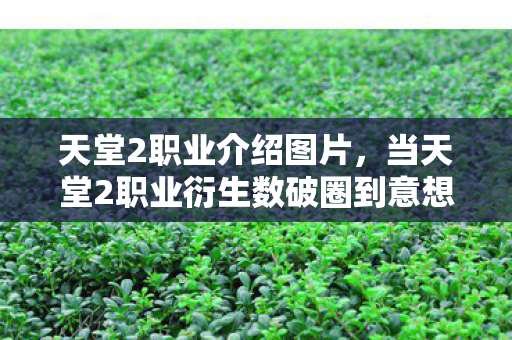 当天堂2职业衍生数破圈到意想不到的领域图片