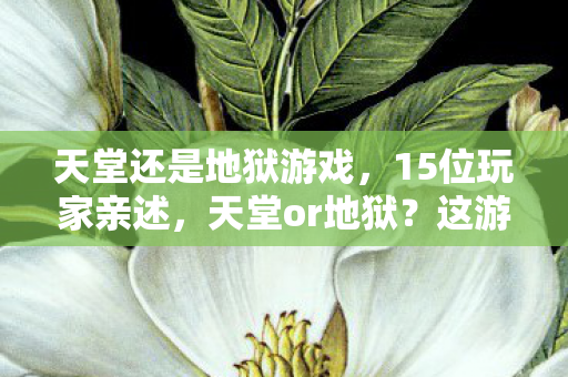 天堂还是地狱游戏图片