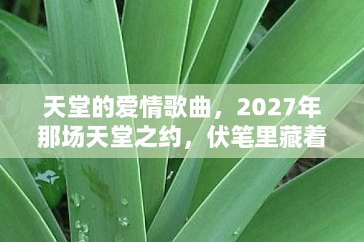2027年那场天堂之约图片