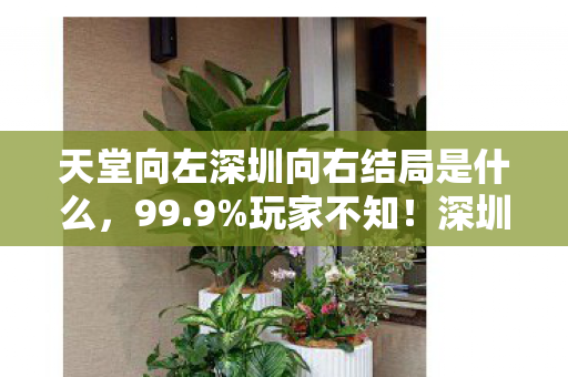 天堂向左深圳向右结局是什么图片