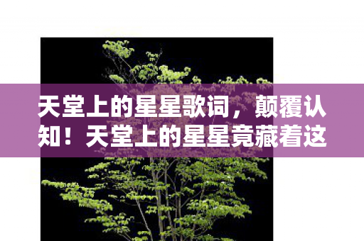 天堂上的星星竟藏着这反常识冷知识图片