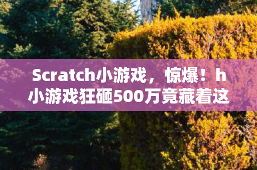 h小游戏狂砸500万竟藏着这隐情图片