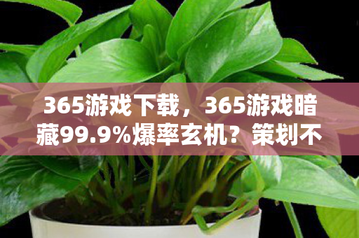 策划不敢说的数值黑幕大起底图片