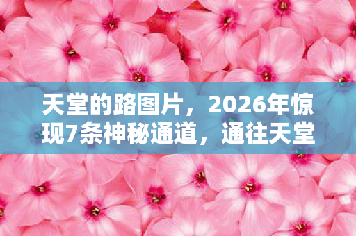 2026年惊现7条神秘通道图片