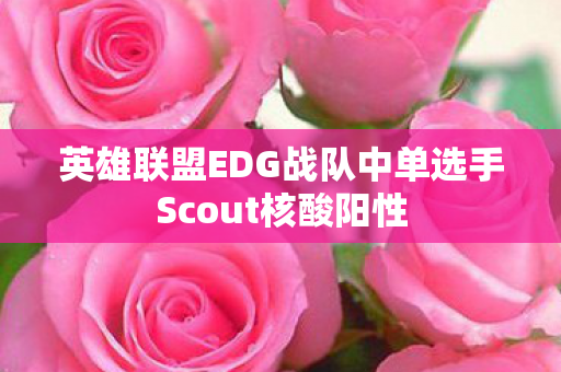 英雄联盟EDG战队中单选手Scout核酸阳性