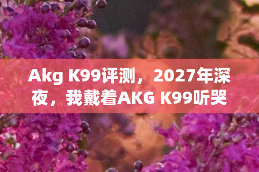 这破耳机凭什么让我戒掉所有新旗舰图片