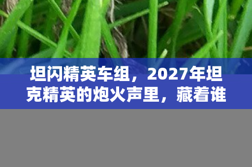 2027年坦克精英的炮火声里图片