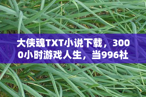 当996社畜遇见大侠魂图片