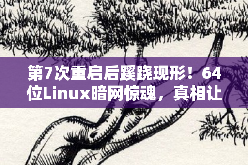 64位Linux暗网惊魂图片