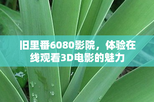旧里番6080影院，体验在线观看3D电影的魅力