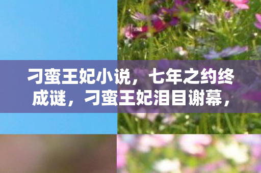 刁蛮王妃泪目谢幕图片