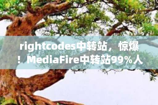 MediaFire中转站99图片
