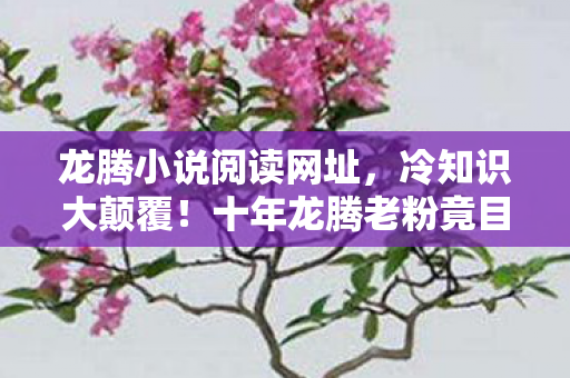 十年龙腾老粉竟目瞪口呆图片