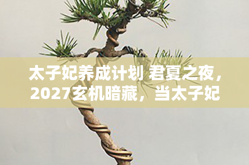 当太子妃养成计划的沉默按钮按下图片