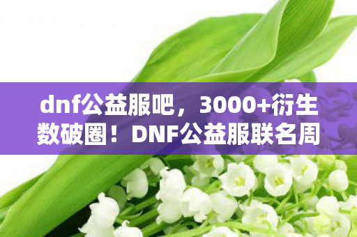 DNF公益服联名周边让我穷到吃土却爽到飞起图片
