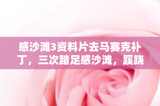 感沙滩3资料片去马赛克补丁图片