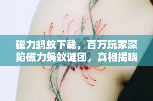 百万玩家深陷磁力蚂蚁谜团图片