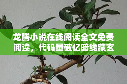 龙腾小说在线阅读全文免费阅读图片