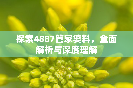 探索4887管家婆料,全面解析与深度理解 探索4887管家婆料,全面解析与深度理解