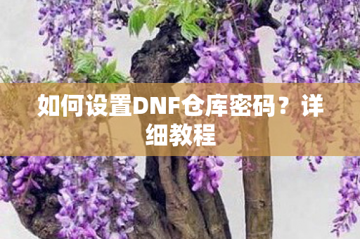 如何设置DNF仓库密码?详细教程 如何设置DNF仓库密码?详细教程