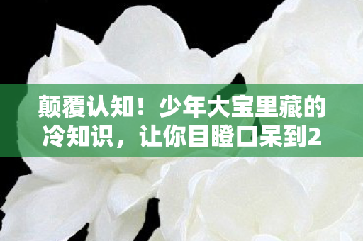 让你目瞪口呆到2028年图片