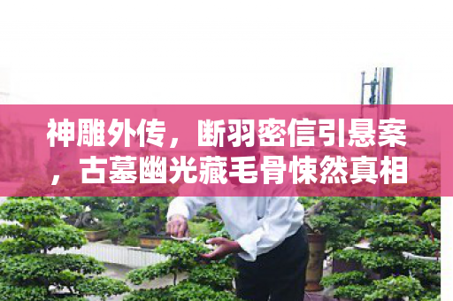 古墓幽光藏毛骨悚然真相图片