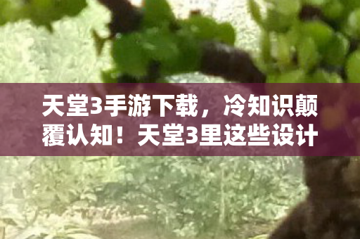 天堂3里这些设计细节图片