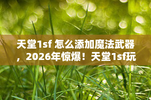 天堂1sf 怎么添加魔法武器图片
