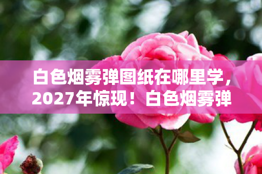 白色烟雾弹图纸藏悬案线索图片