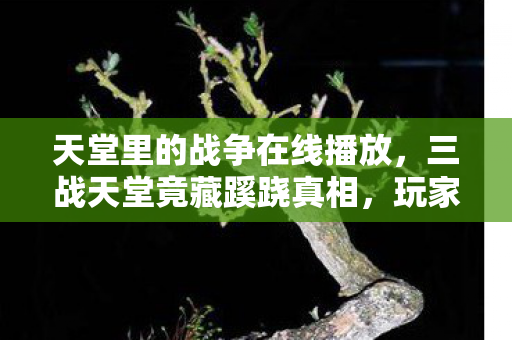 天堂里的战争在线播放图片