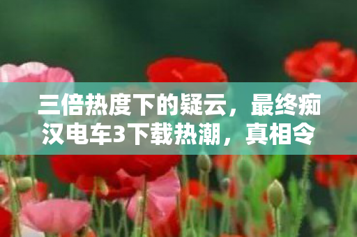 最终痴汉电车3下载热潮图片