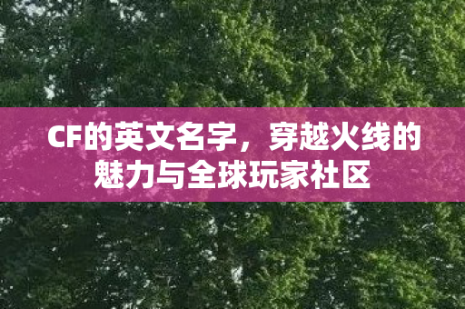 CF的英文名字,穿越火线的魅力与全球玩家社区 CF的英文名字,穿越火线的魅力与全球玩家社区