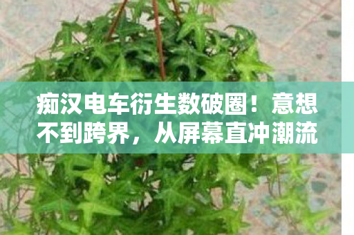痴汉电车衍生数破圈图片