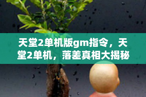 天堂2单机版gm指令图片